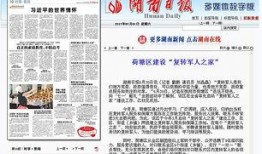 湖南老王爆料新闻报道,揭秘某事件背后惊人真相